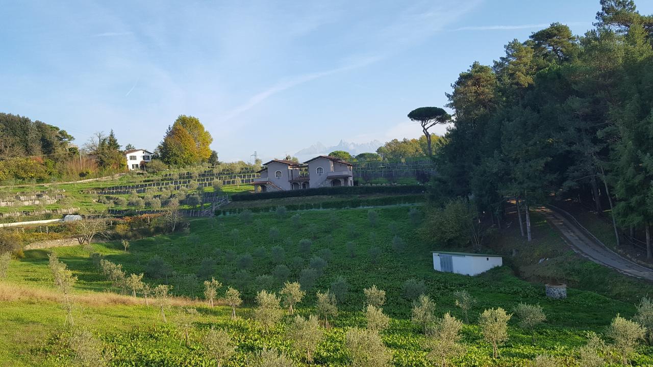 B&B Podere Montese Вилафранка ин Луниджана Екстериор снимка